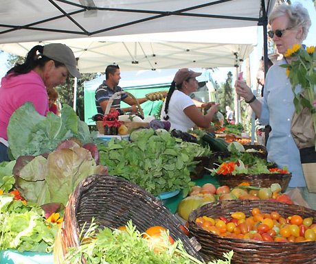 sanjosedelcabofarmersmarket