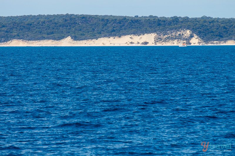 Whale watching in Hervey Bay, Queensland, Australia