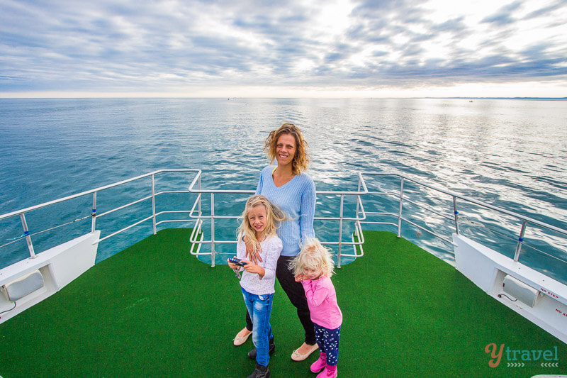 Whale watching in Hervey Bay, Queensland, Australia