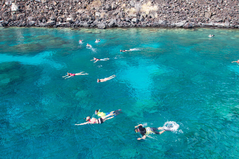 Snorkeling at Kealakekua Bay with Fairwind Cruises