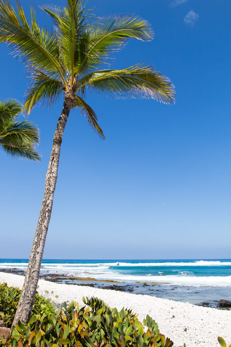 Beach at Hilton Waikoloa Village - Big Island Hawaii