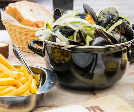 Mussels in Yerseke