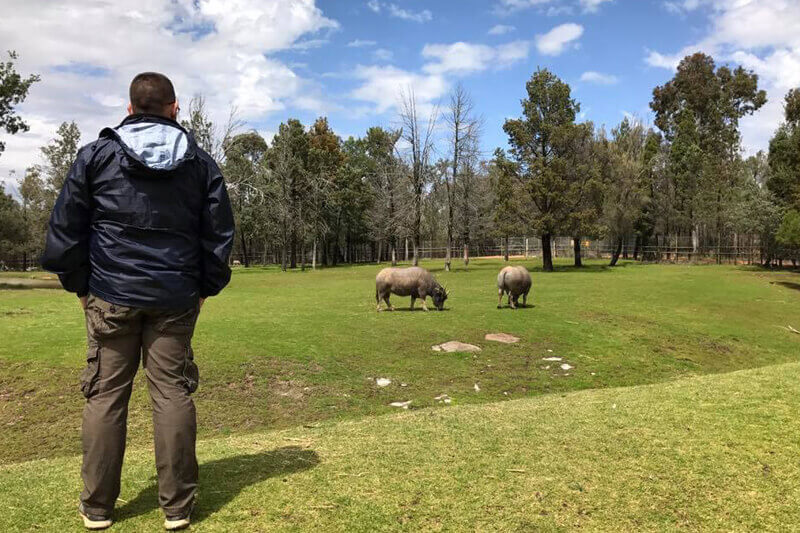 The Taronga Western Plains Zoo is easy to navigate and is one of the best things to do in Dubbo with kids