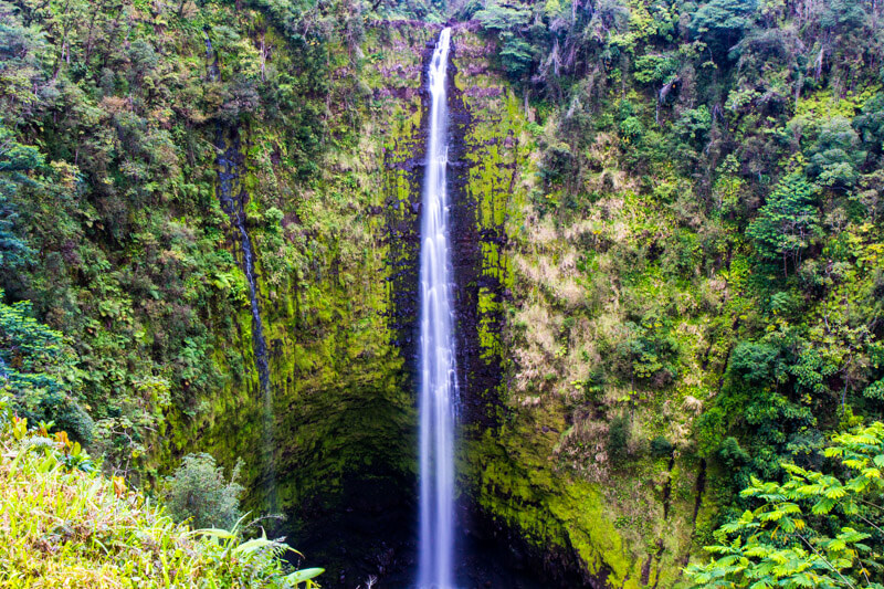 Akaka Falls - things to do on the Big Island of Hawaii