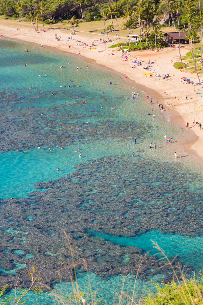 Snorkeling at Hanauma Bay - one of the best things to do in Hawaii with kids