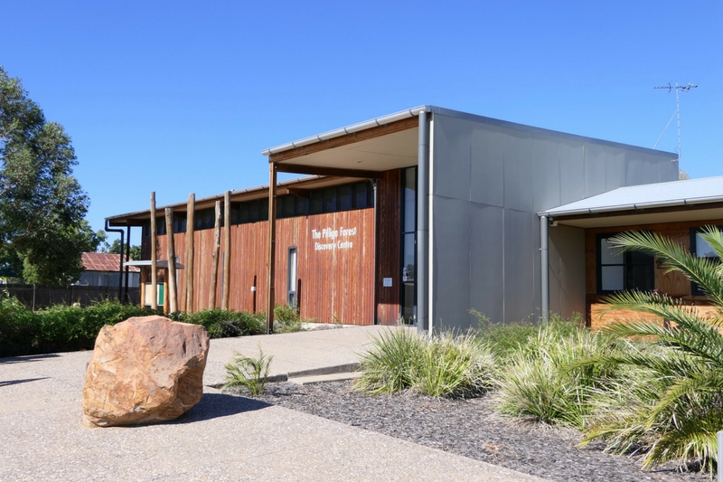 The Pilliga Forest Discovery Centre has lots of information available for your adventure into the forest