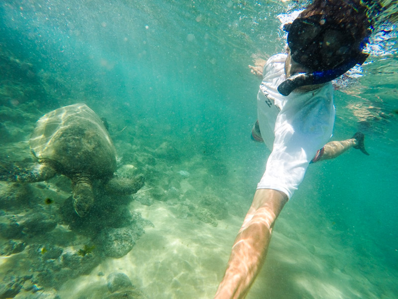 Snorkeling with turtles at Black Rock Beach in Maui