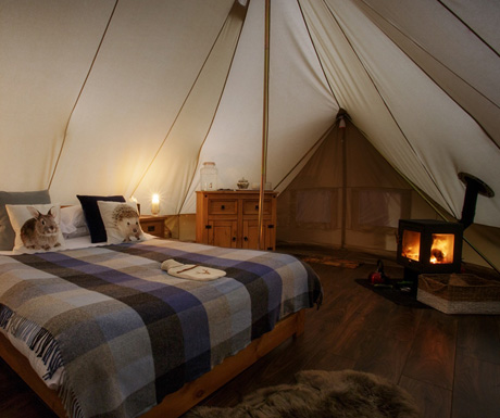 Glamping_460x385