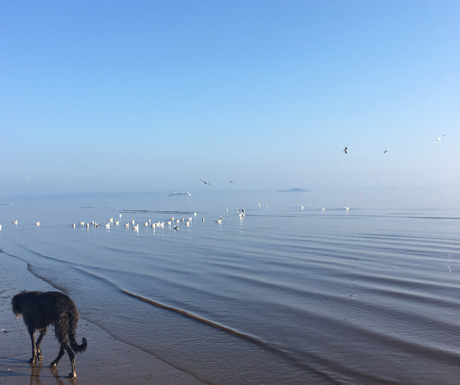 Portobello Beach_walk_460x385