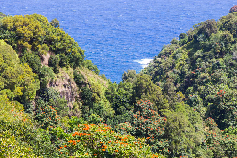 Garden of Eden on the Road to Hana drive in Maui, Hawaii