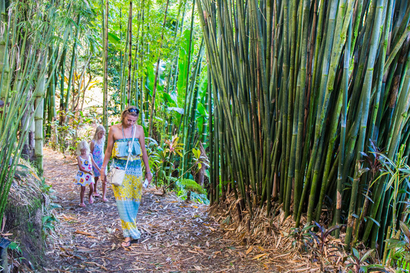 Walking through Bamboo Alley in the Garden of Eden along the Road to Hana drive in Maui, Hawaii