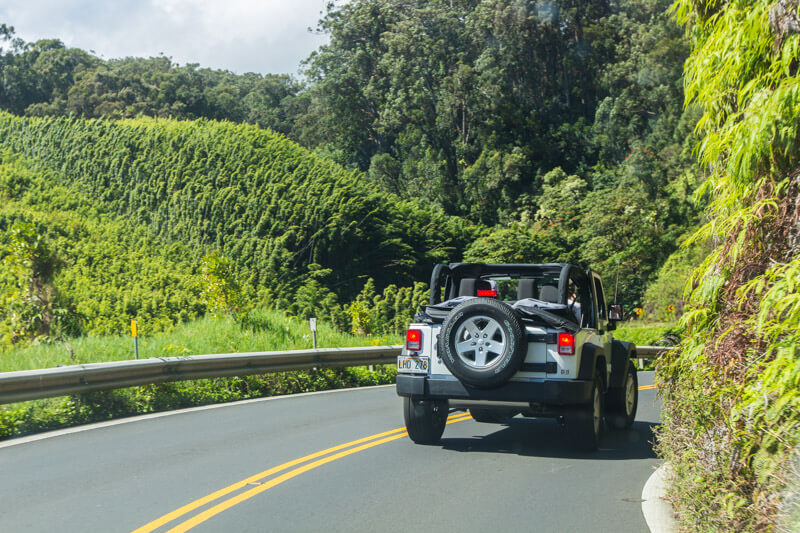 Driving the Road to Hana, Maui