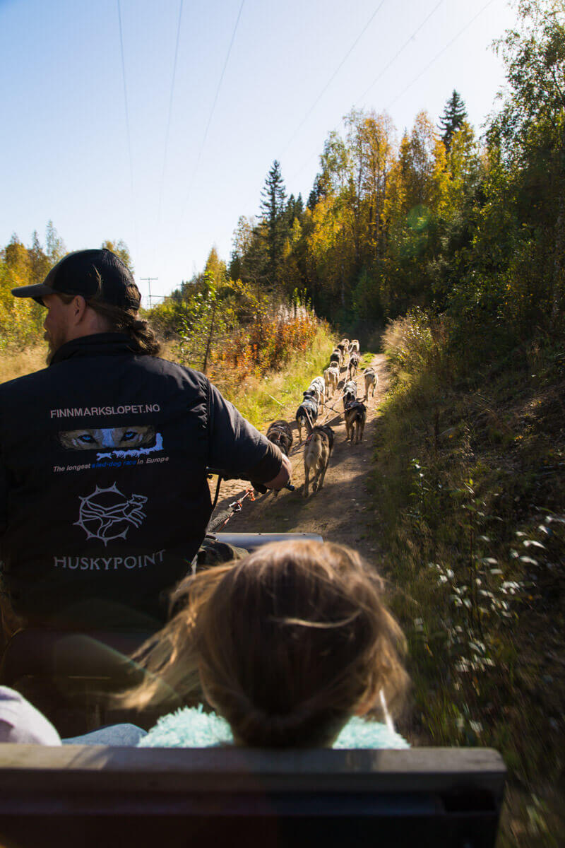 Learning about husky racing is another fun thing to do in Finland no matter what time of year.