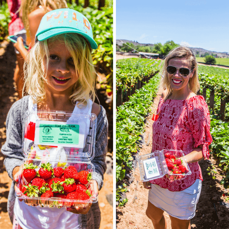 people holding up punnet of strawberries