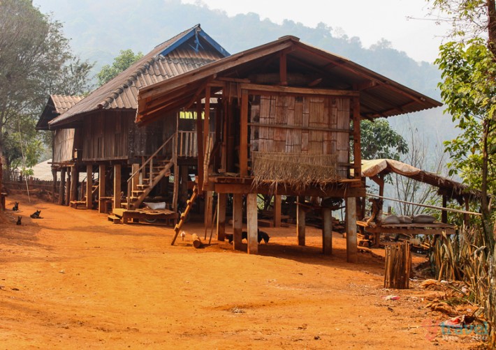 grass wooden hut in Akha hill tribe village