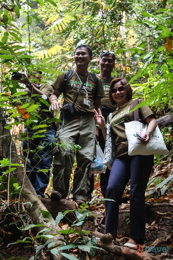 people walking in forest