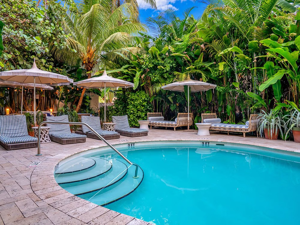 swimming pool surrounded by jungle at hotel trouvail