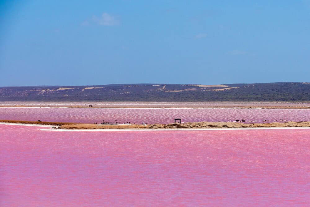 pink lake