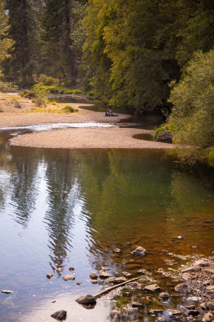 A body of water surrounded by trees