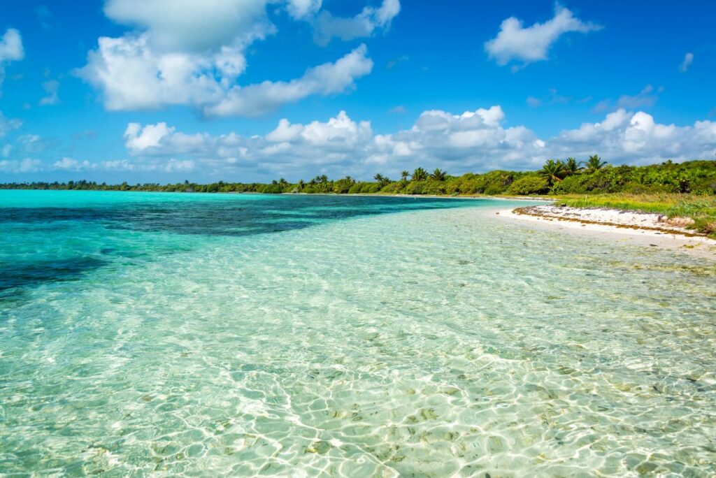 beautiful beach and crystal clear water in  Sian Ka'an Biosphere Reserve