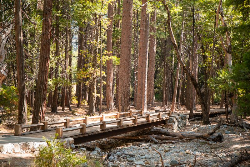 bridge on Yosemite Falls Trail