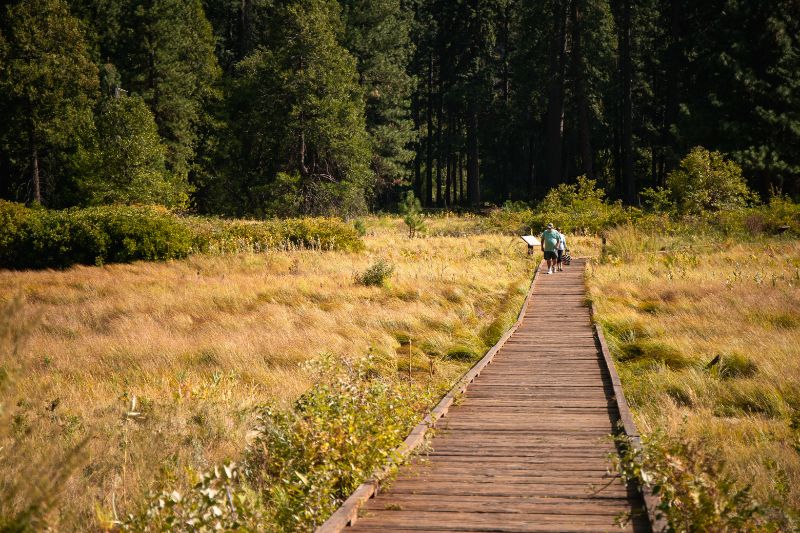 person walking on boardwalk through Yosemite Valley California