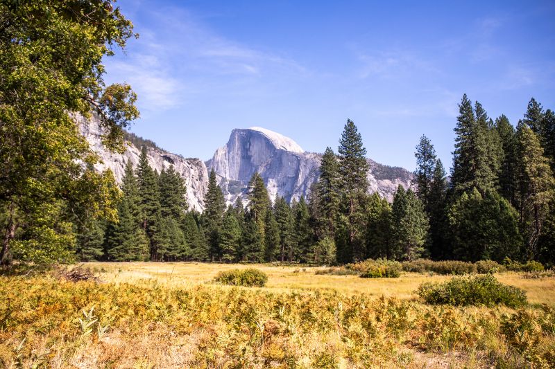 Yosemite Valley View