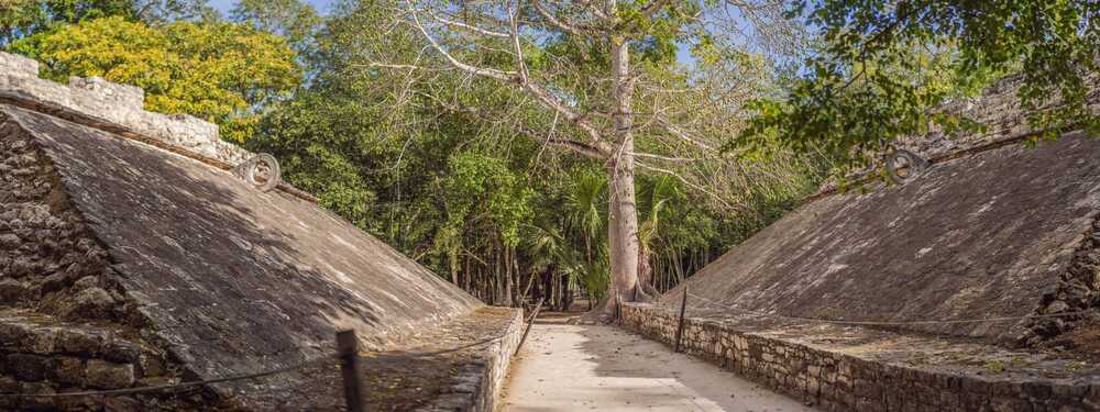 path between ruins at coba