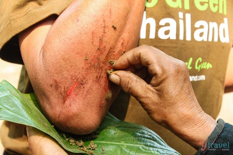 woman applying natural paste on elbow