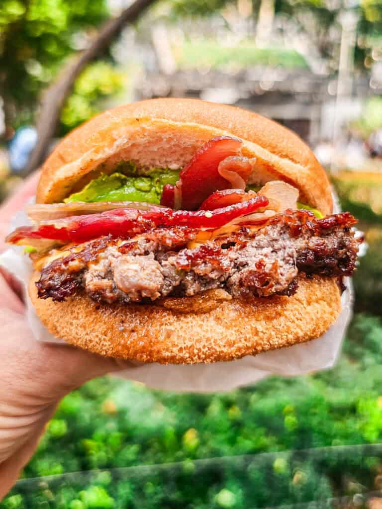 person holding a burger in shake shack