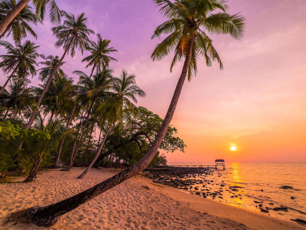 Beautiful sunset over the sea with a view at palms on the white beach on a Koh Kood, Trat Thailand