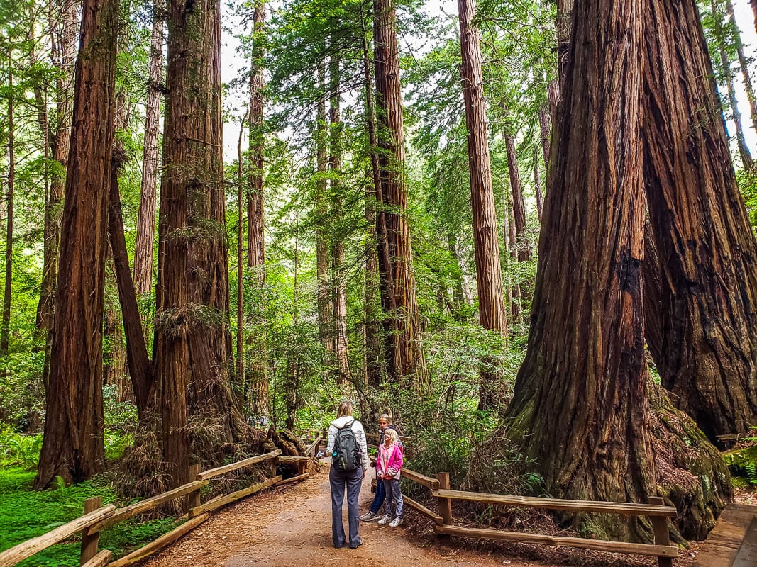 family on trail in Muir Woods