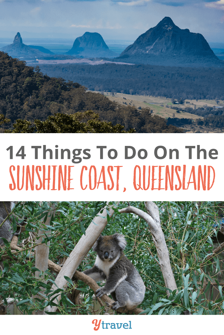 14 things to do on the Sunshine Coast of Queensland, Australia - besides going to the beach!