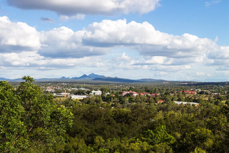 overview of trees in a town