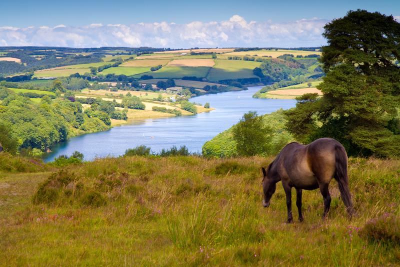 Exmoor National Park England