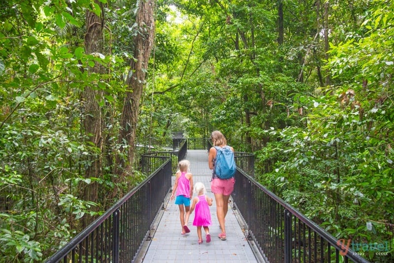 mother and children walking on elevated boardwalk in Mossman Gorge, Queensland, Australia