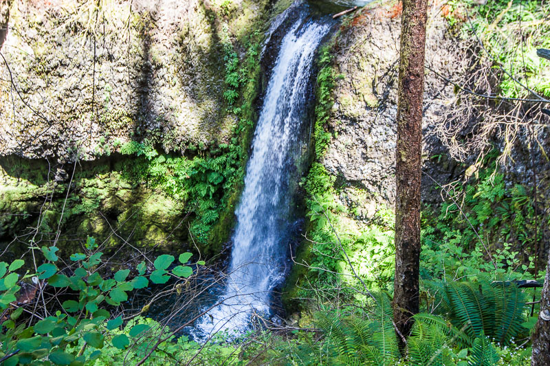 A waterfall in a forest