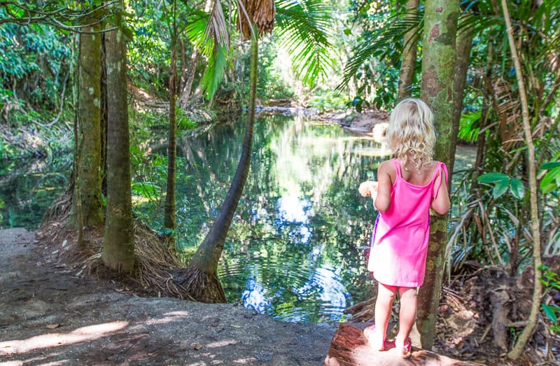 Masons swimming hole