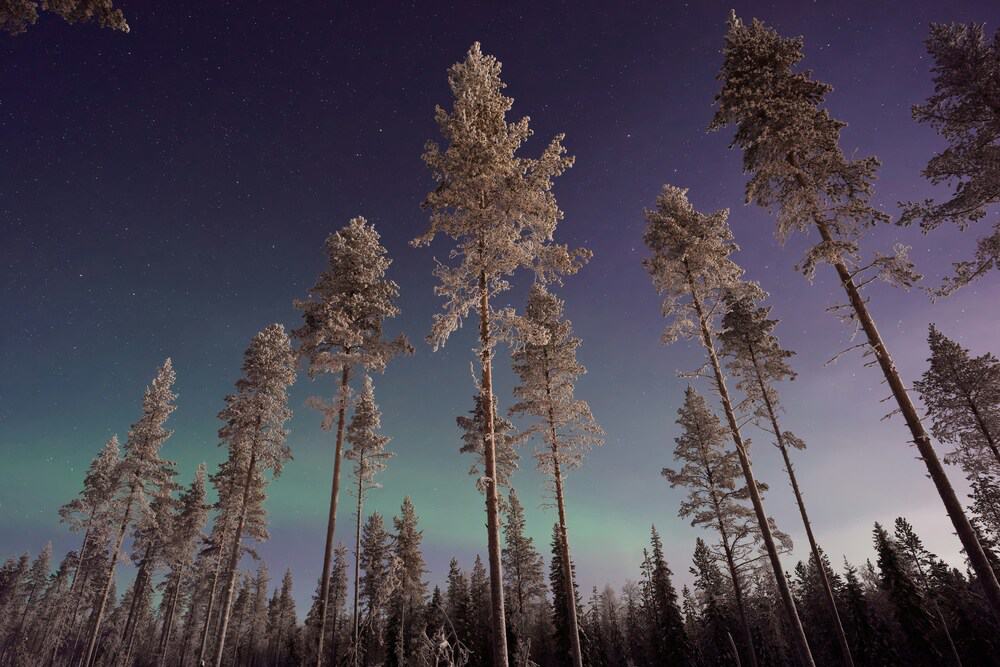 Northern Lights in Lapland, Finland