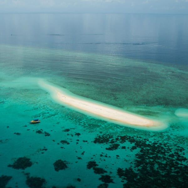 Mackay Reef - Great Barrier Reef, Australia