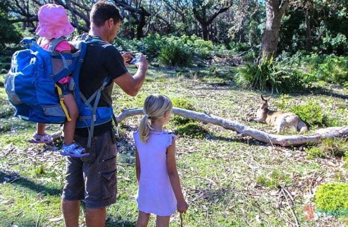 family taking photo of kangaroo