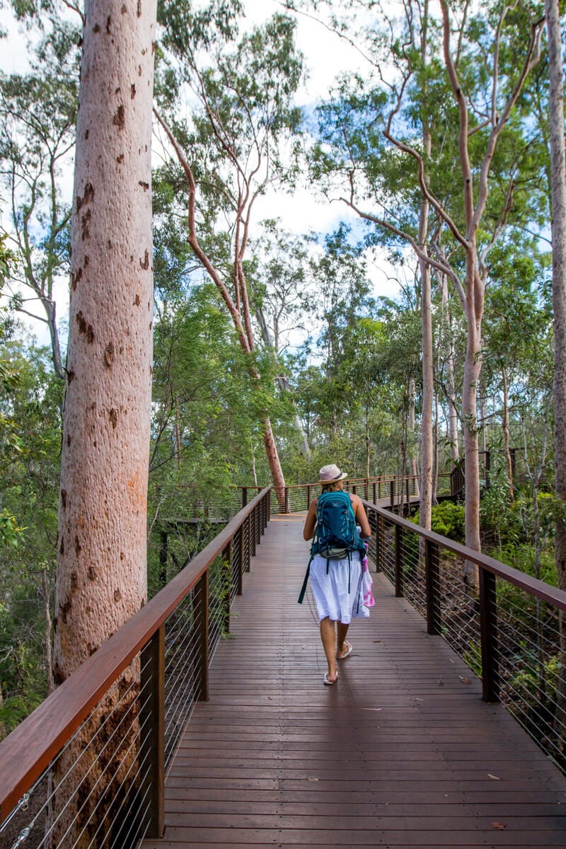 woman walking on elevated boardwalk through forest