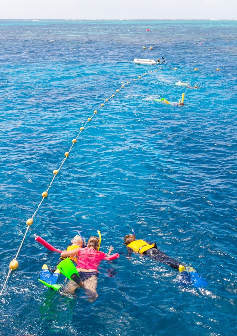 people Snorkeling at the Great Barrier Reef in 