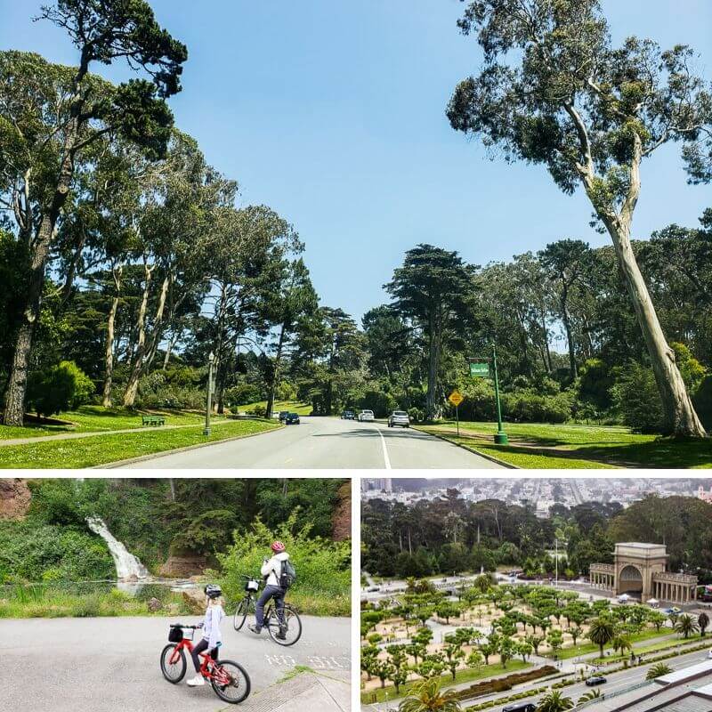 people biking Golden Gate Park