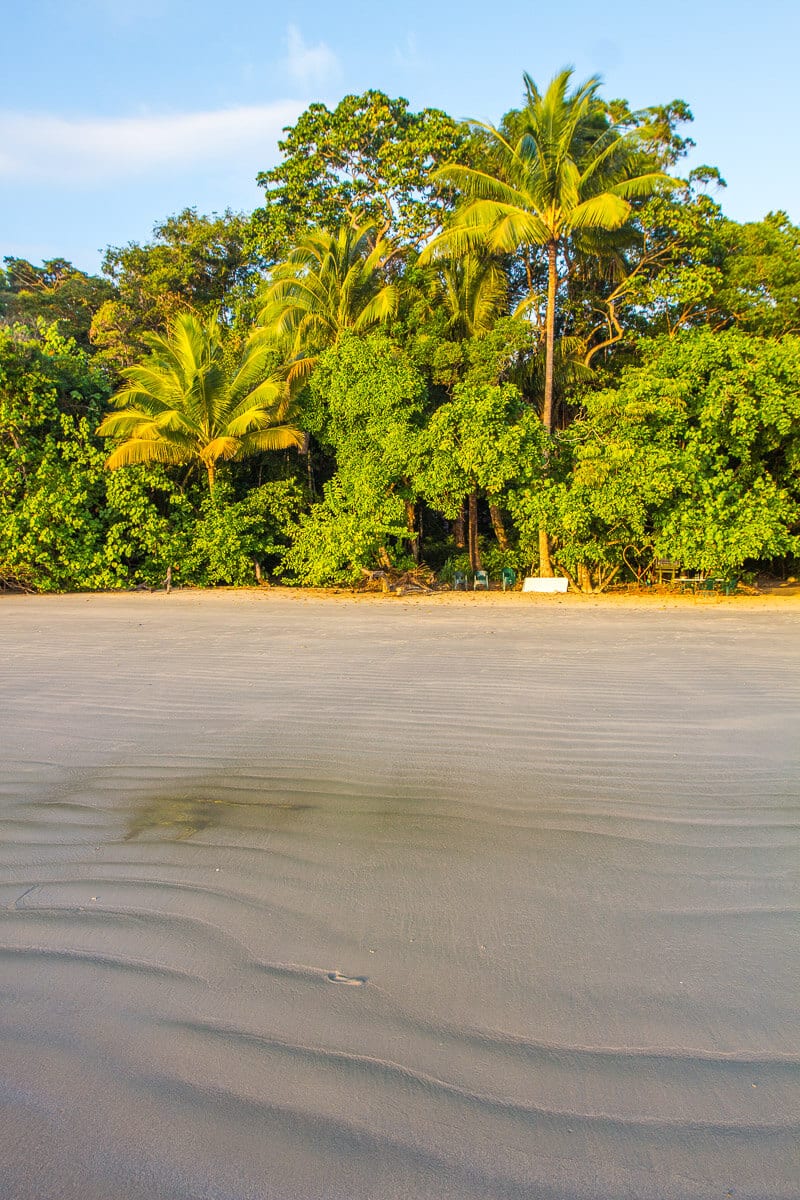 Cape Tribulation Beach in the Daintree Rainforest of Australia