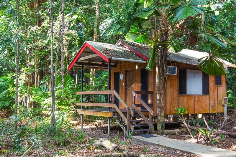 Cape Trib Beach House cabins in daintree forest