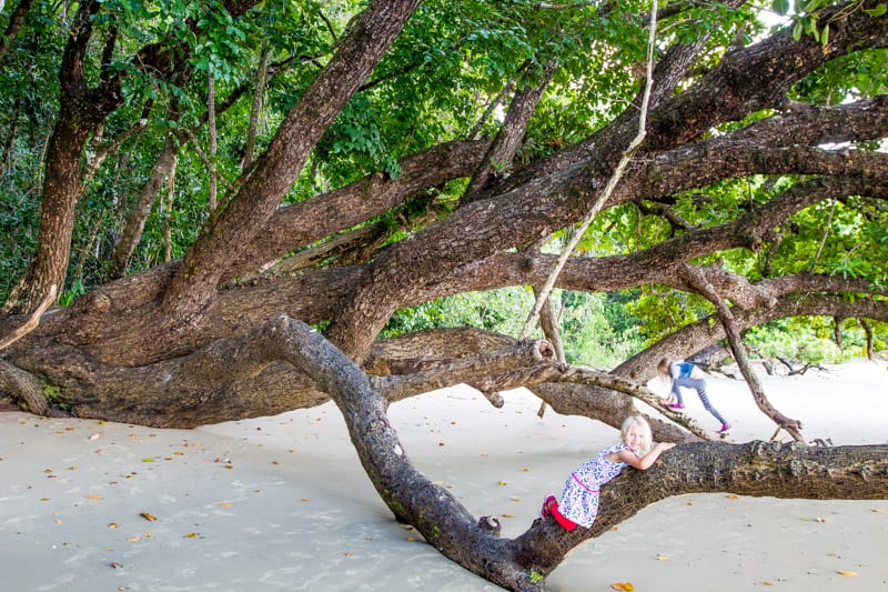 girl lying on low tree branch on Cape Tribulation Beach -