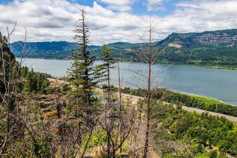 Lemmon’s Viewpoint over colombia river