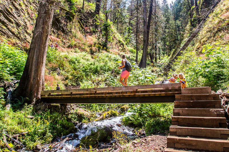 hikers on trail along columbia river gorge