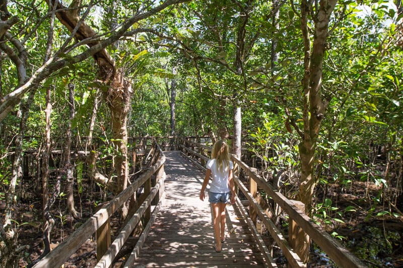 girl walking on marrja board walk in a forest